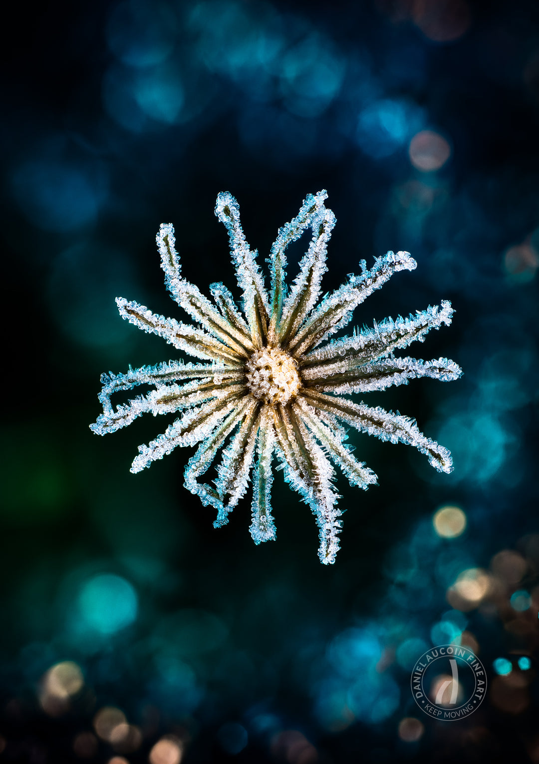 Frozen Cosmos – Fine Art Print