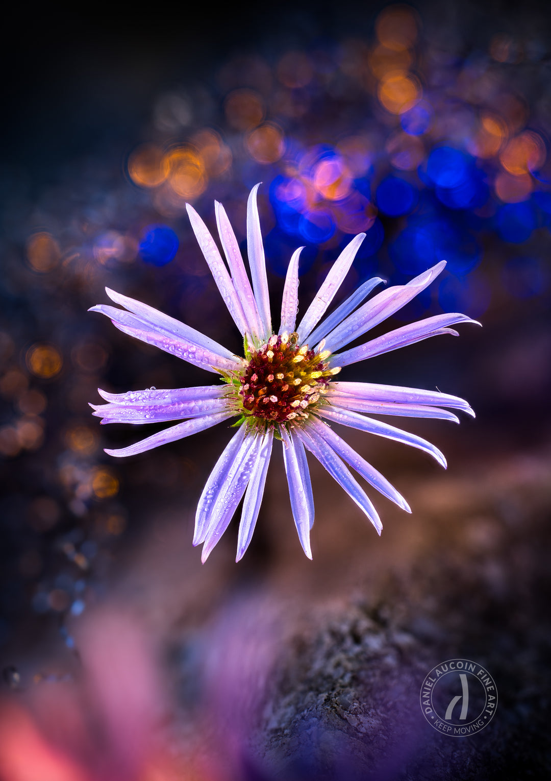 Cosmic Violet – Fine Art Print