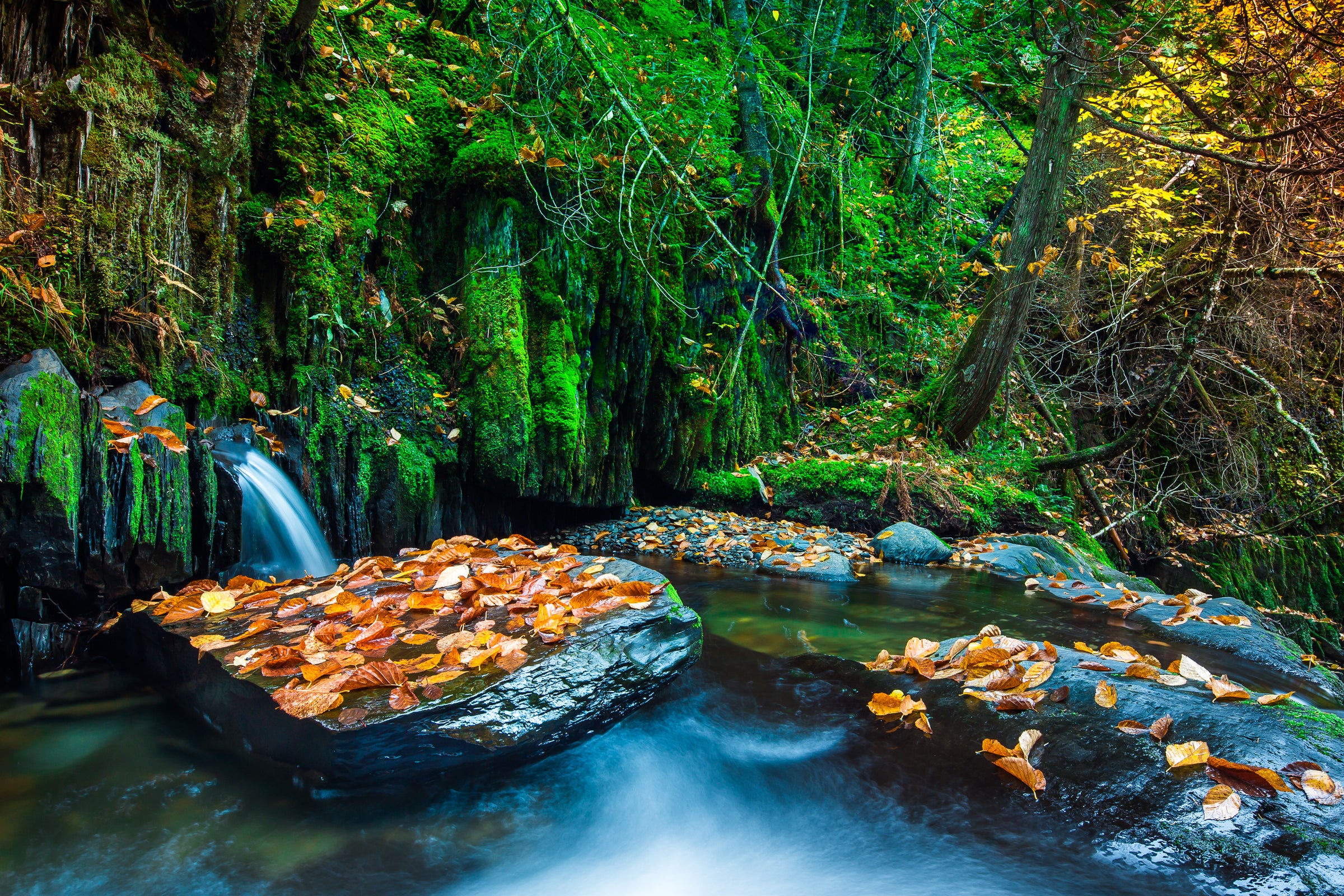 Water Photography Collection