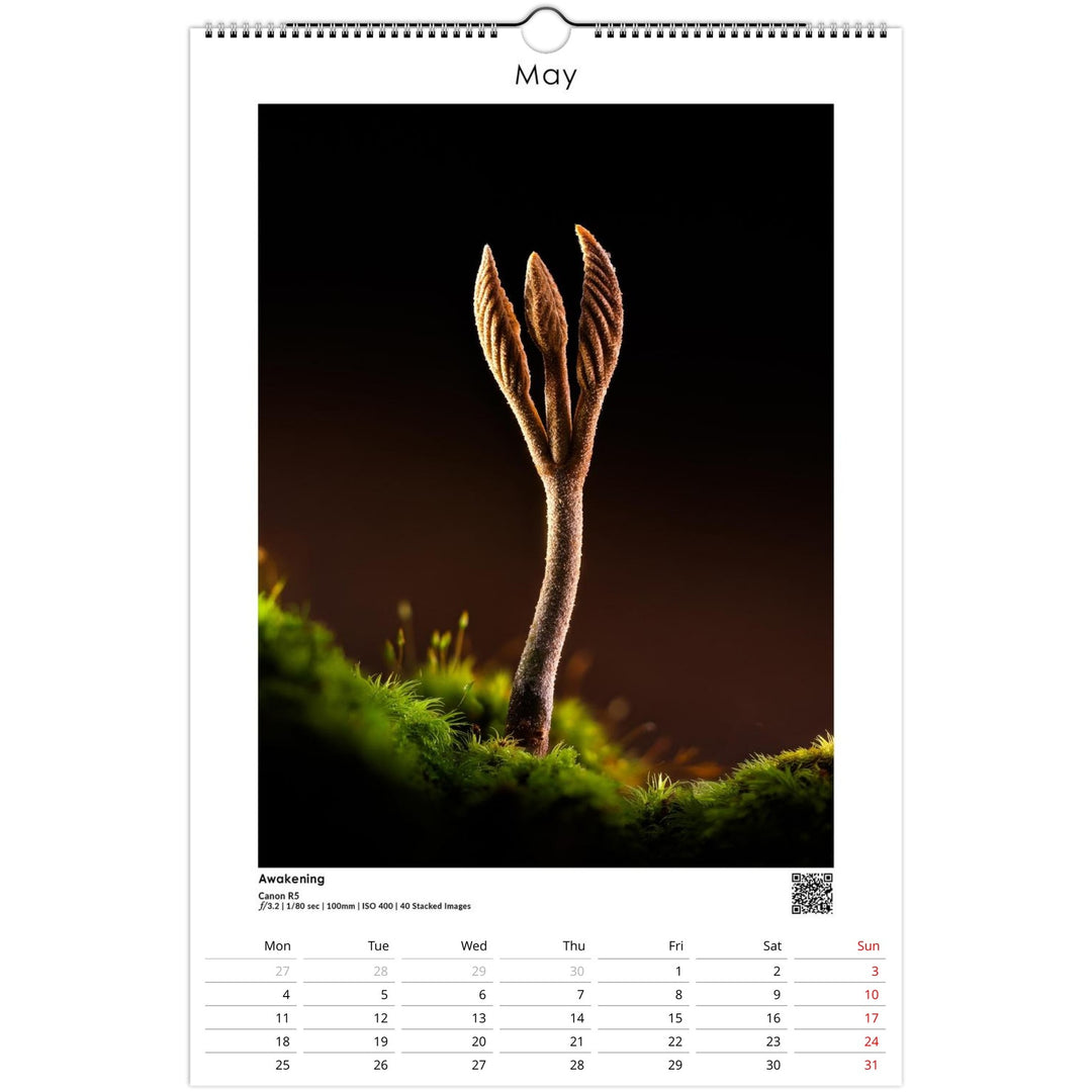 229716a5-d04d-4ac2-836e-7af7c24881f0