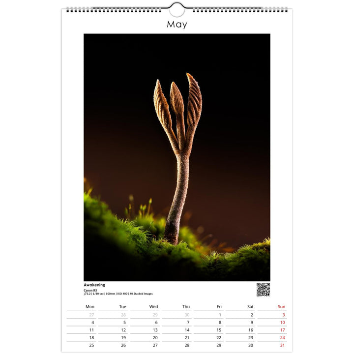 229716a5-d04d-4ac2-836e-7af7c24881f0