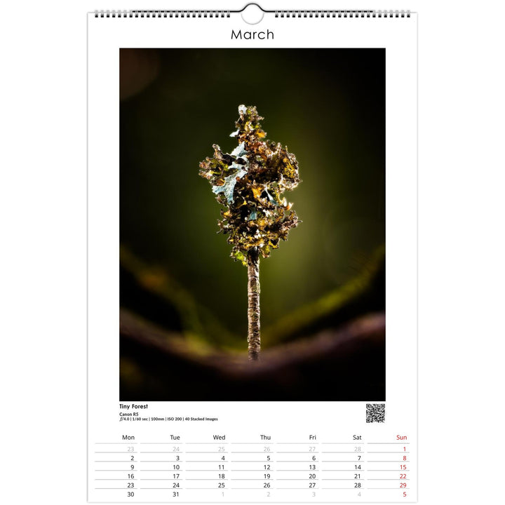 35507c9d-e9fa-4444-9a20-617152783ccb