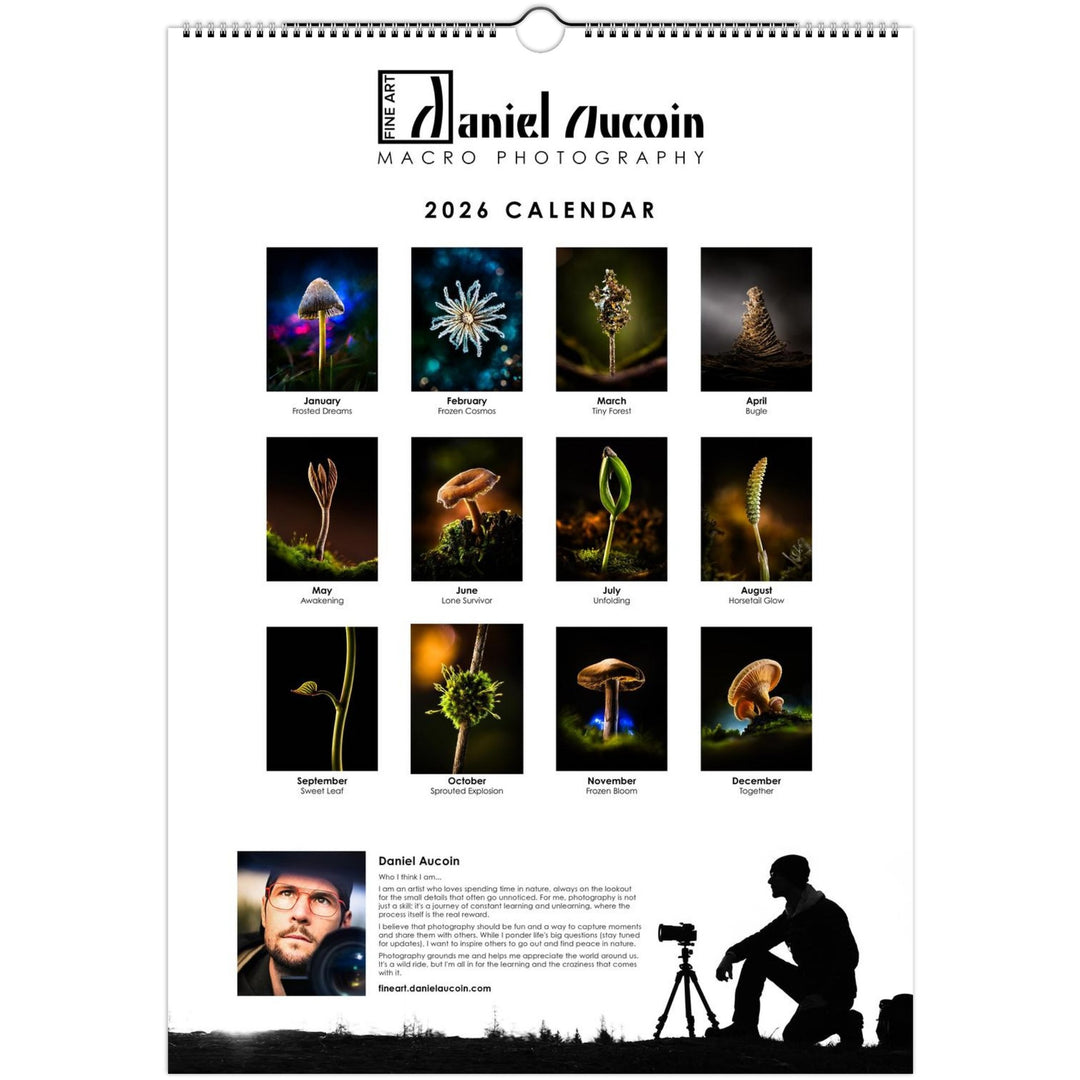 3d1f66d9-756e-4c03-9a52-1e0f7245170a