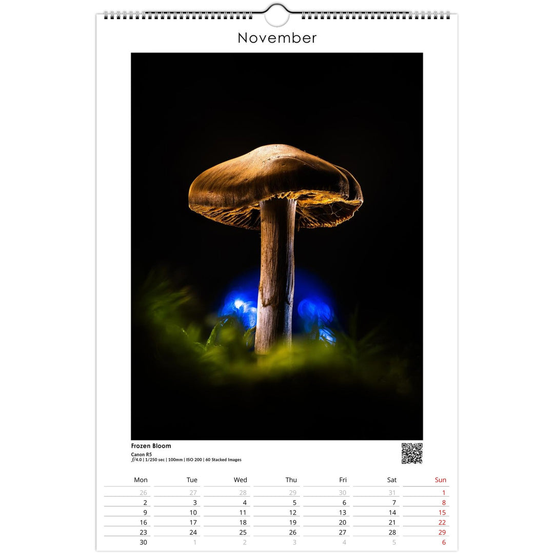 589485d7-9c94-47ef-b93a-b93e0ce2d2cd