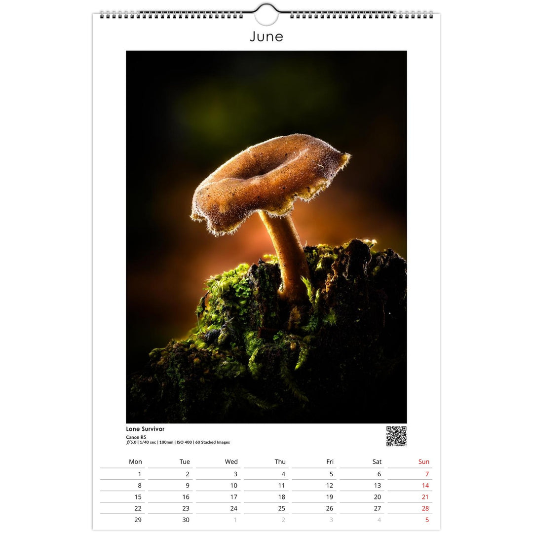 72114654-7091-4c9a-8fd4-6d034c2b4f27