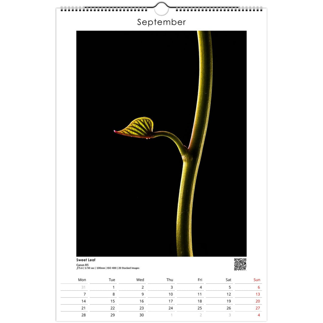 98615ff5-5a50-4e53-a4af-c5f8106bc834