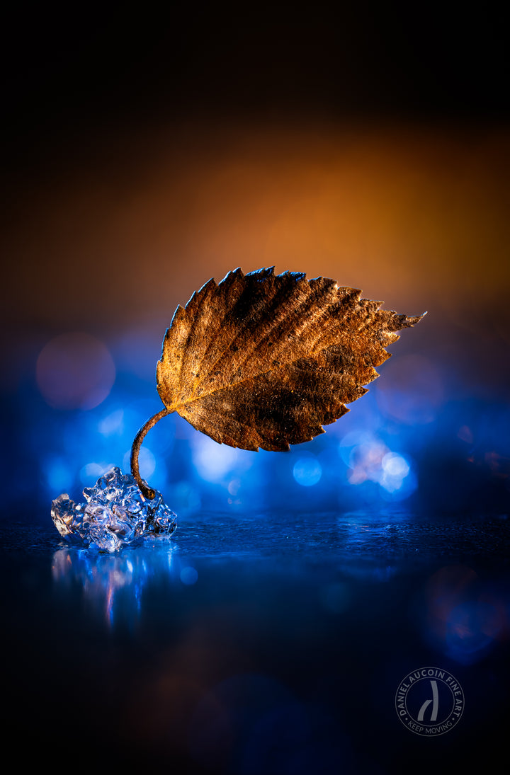 Between Seasons – Fine Art Print