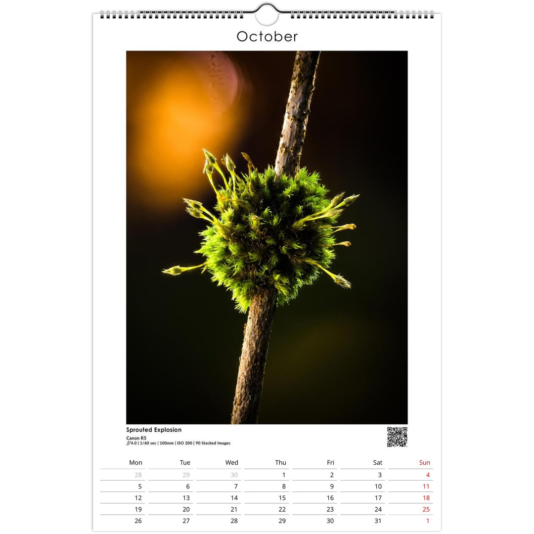 aa0a360d-f382-4329-98cd-e72661a6a727