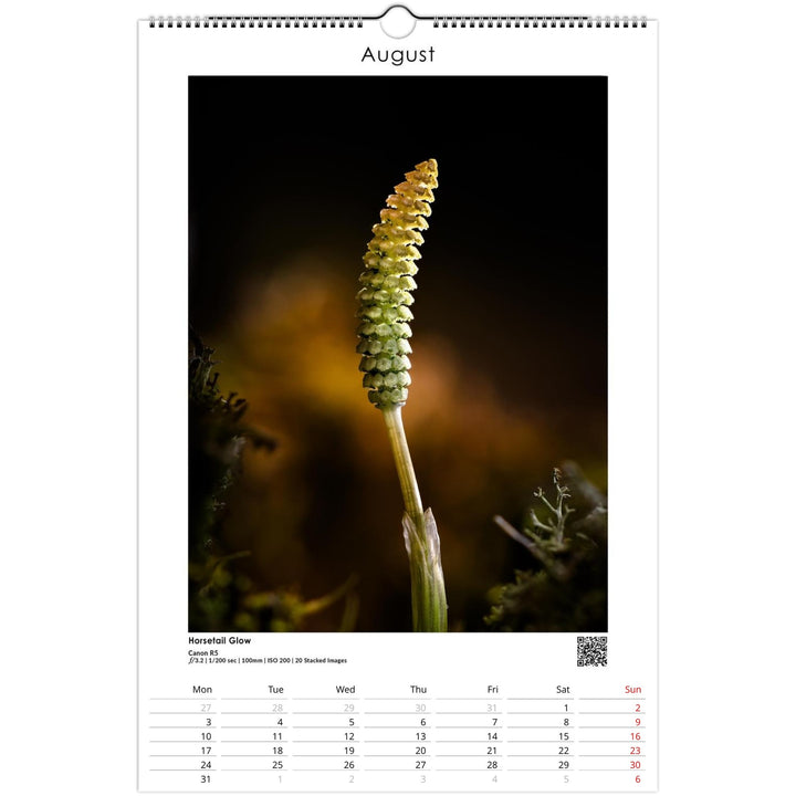 c668c1f9-7a0b-427d-9269-144b18d3a6cd