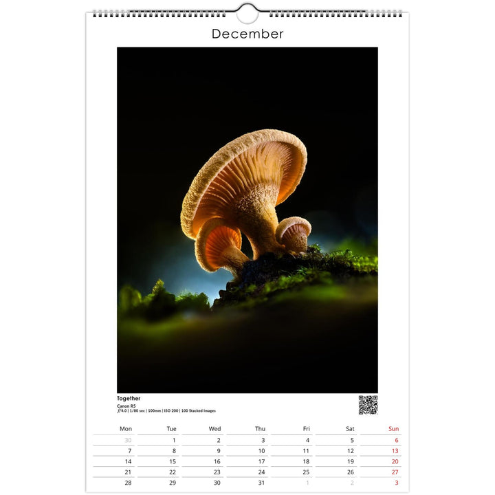 e3a38565-39c4-45a3-be2f-7bcedbf68155