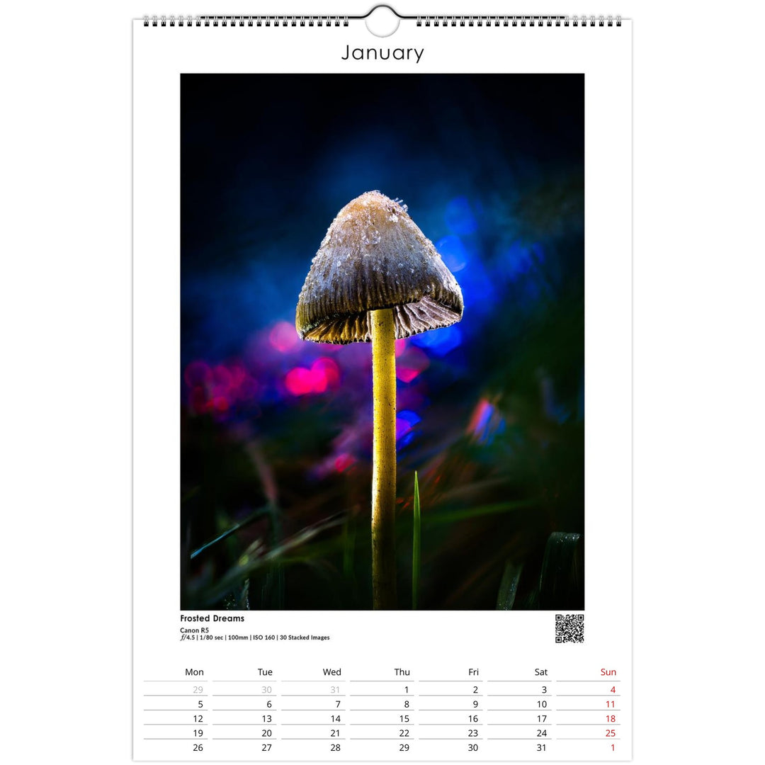 edea4984-9959-467f-baab-081505d10ad5