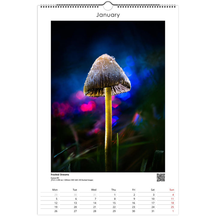 edea4984-9959-467f-baab-081505d10ad5