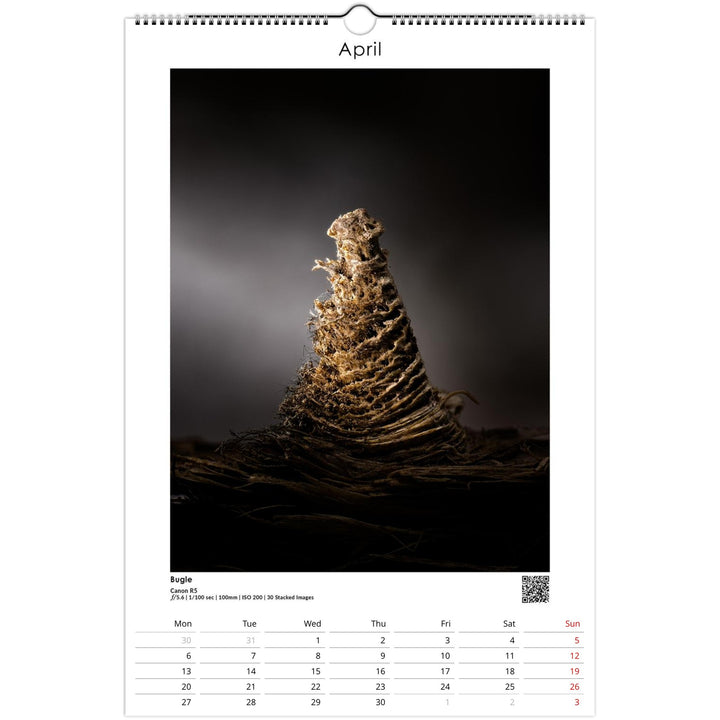 f99d12a0-ab5a-4059-bd2d-0a8dafa6fa26