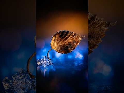 Between Seasons – Fine Art Print
